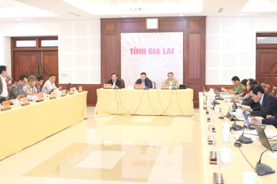 Gia Lai nỗ lực hoàn thành chỉ tiêu, nhiệm vụ năm 2022