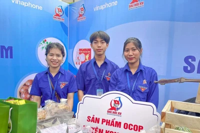 Đại biểu trẻ nhất dự Đại hội Đoàn; Mong có nhiều dự án hỗ trợ học sinh