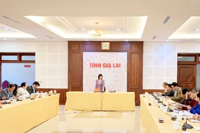 Phó Chủ tịch UBND tỉnh Gia Lai Nguyễn Thị Thanh Lịch: Tháo gỡ ngay việc thiếu thuốc và vật tư y tế