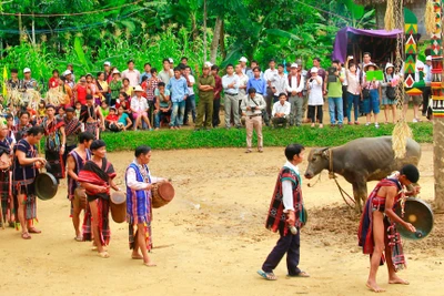 Trường Sơn ký sự: Giã từ 'vũ khí'