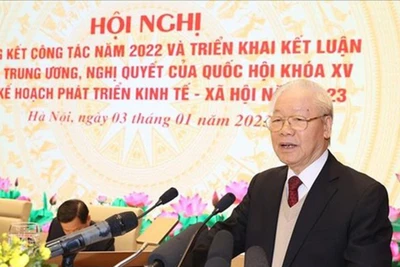 Tranh thủ cơ hội để phục hồi, phát triển kinh tế-xã hội