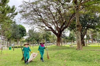 Bảo vệ "lá phổi xanh" thành phố Pleiku