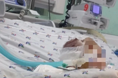 Bắt khẩn cấp "bảo mẫu" bạo hành khiến bé 6 tháng tuổi bị dập não