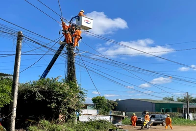 Pleiku khẩn trương di dời lưới điện để mở rộng đường giao thông