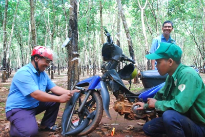 Việc làm nhỏ, ý nghĩa lớn