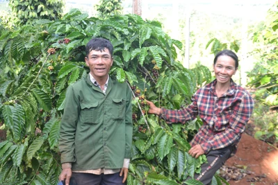 Làm giàu nhờ ý chí và nghị lực