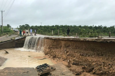 Gia Lai chủ động triển khai các biện pháp ứng phó với mưa lớn