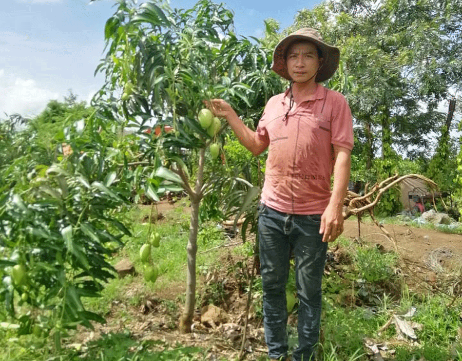 Trồng rau và cây ăn quả cho thu nhập cao