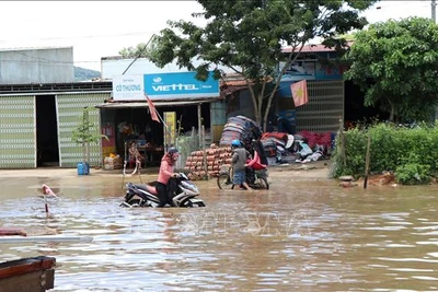 Tuyến đường Hồ Chí Minh đoạn qua huyện Ngọc Hồi, Kon Tum bị ngập nặng