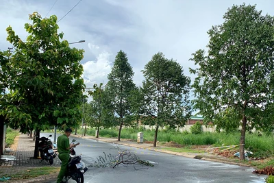 Chơi trốn tìm trong tủ điện, bé 12 tuổi bị điện giật nguy kịch