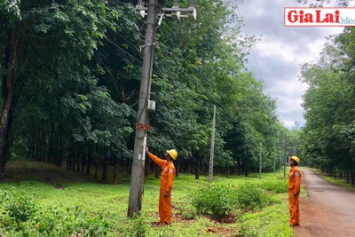 Gia Lai: Đảm bảo an toàn điện trong mùa mưa bão