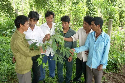 Mang Yang: Hỗ trợ đồng bào dân tộc thiểu số vươn lên thoát nghèo