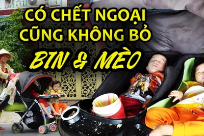 Cụ bà đi khắp Sài Gòn:"Bin và Mèo ơi,có chết ngoại cũng không bỏ con'