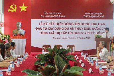 Ký kết hợp tác toàn diện với Công ty CP Thủy điện Nước Chè