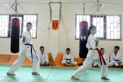 Gia Lai: 300 võ sinh tham dự kỳ thi thăng đẳng quốc gia môn karate