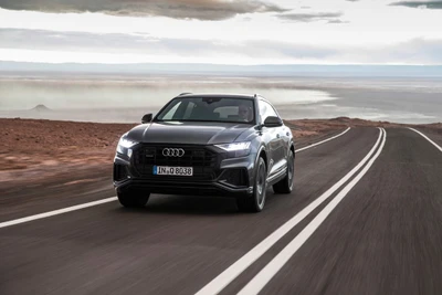 Audi Q8 2019 công bố giá bán từ 76.300 euro