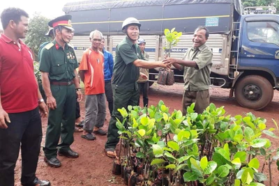 Hỗ trợ cây giống, phân bón cho hội viên, người dân thôn Chư Bố 2