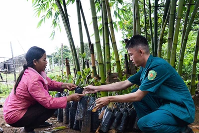 Hỗ trợ người dân Ia Bia ổn định sản xuất