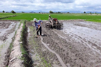 Ia Pa: Hơn 33 tỷ đồng đầu tư phục vụ dân sinh