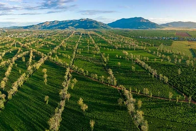 Văn nghệ sĩ Gia Lai trăn trở cùng môi trường