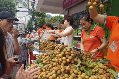 Làm gì để nông sản Việt chiếm lĩnh "chợ" thế giới?