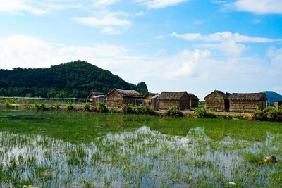 Hà Tiên, thành phố của những cánh đồng xanh