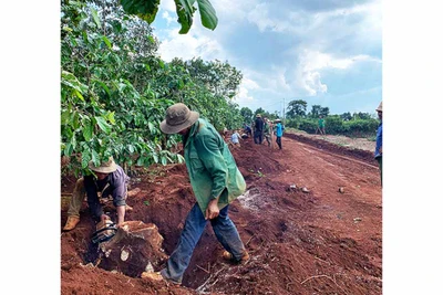 Dân làng Krun góp sức làm đường giao thông