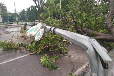 900.000 hộ dân miền Trung mất điện do bão số 5