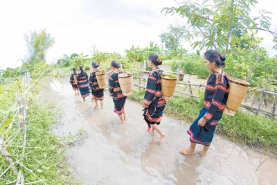 Lễ cúng bến nước của người Jrai: Độc đáo, nhân văn