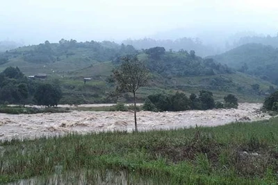 Kon Tum: Tích cực tìm kiếm 1 nam thanh niên bị nước cuốn trôi