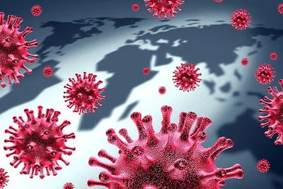 850.000 virus chưa được phát hiện ở động vật, có thể lây sang người gây đại dịch