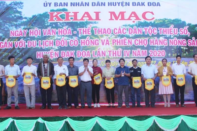 Khai mạc Ngày hội văn hóa-thể thao các dân tộc thiểu số gắn với du lịch đồi cỏ hồng huyện Đak Đoa