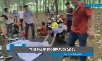 Triệt phá sới bạc khủng giữa vườn cao su, bắt giữ hơn 20 con bạc