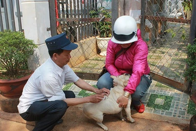 Nhiều người dân Tây Nguyên lơ là tiêm phòng cho vật nuôi