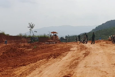 Vụ Đại công trường 'xẻ thịt' đất lâm nghiệp: Làm rõ trách nhiệm cá nhân, tập thể