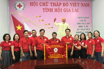 Kỷ niệm Ngày thành lập Hội Chữ thập đỏ Việt Nam