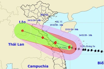 Sáng mai 15-11, bão số 13 đổ bộ từ Hà Tĩnh đến Quảng Nam