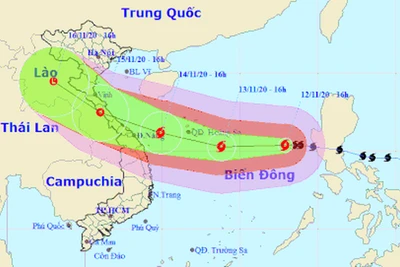 Thủ tướng: Bão 13 mạnh, người dân hạn chế ra đường khi bão đổ bộ