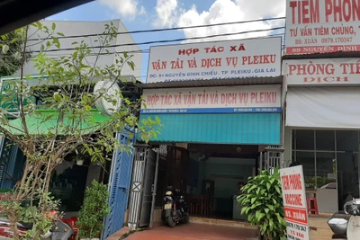 Thông tin mới vụ sai phạm tại Chi cục Quản lý chất lượng nông lâm sản và thủy sản Gia Lai