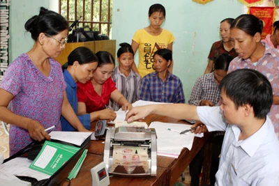 Lãnh đạo Phòng Lao động-Thương binh và Xã hội huyện bị đình chỉ công tác