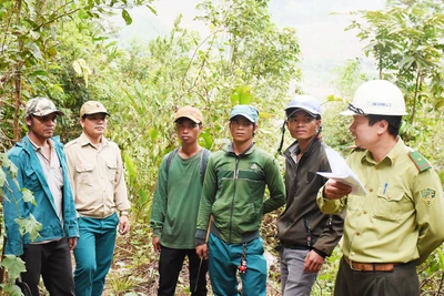 Người Bahnar ở Kon Pne "sống khỏe" nhờ nhận khoán quản lý, bảo vệ rừng