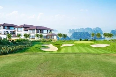 Báo Chính phủ lên tiếng dự án sân golf FLC ở Gia Lai được phê duyệt