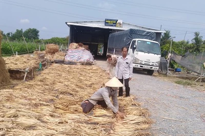 Những bàn tay dệt nên cuộc đời