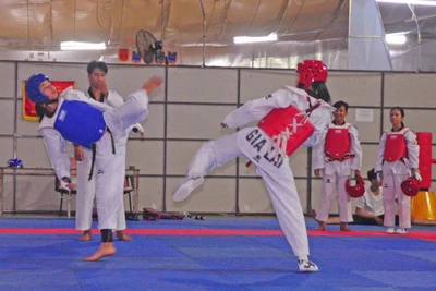 Những "sao mai" của đội tuyển taekwondo Gia Lai