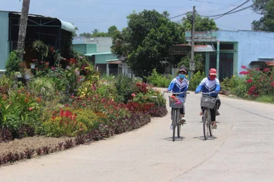 Hội LHPN An Khê tích cực chuẩn bị Đại hội nhiệm kỳ 2021-2026