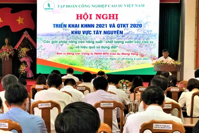 Tập đoàn Công nghiệp Cao su Việt Nam triển khai kế hoạch nông nghiệp năm 2021