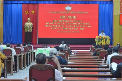 "Quốc hội chuyên trách và chuyên nghiệp"