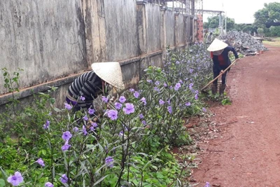 Bàu Cạn đẩy mạnh phong trào thi đua yêu nước