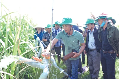 Công ty Thành Thành Công Gia Lai hướng tới mục tiêu phát triển bền vững