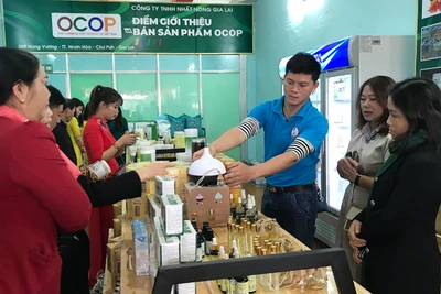 Câu lạc bộ Khởi nghiệp nông nghiệp Gia Lai: Nơi chắp cánh ước mơ khởi nghiệp